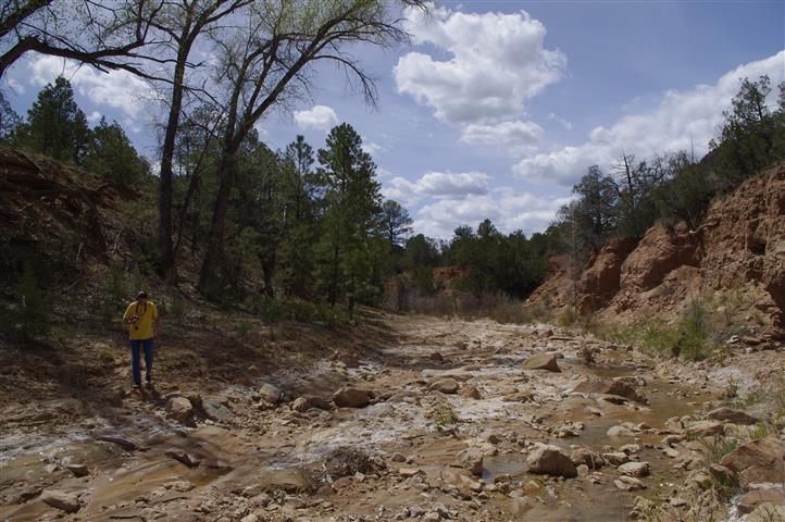 Looking downstream in the Rio Gallina